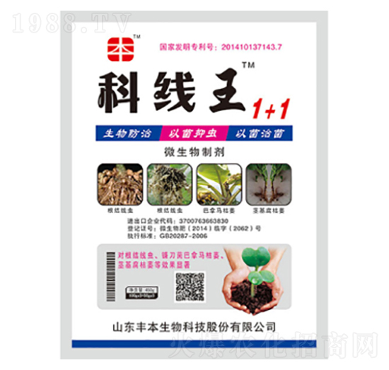 微生物菌劑-科線(xiàn)王1+1-豐本生物