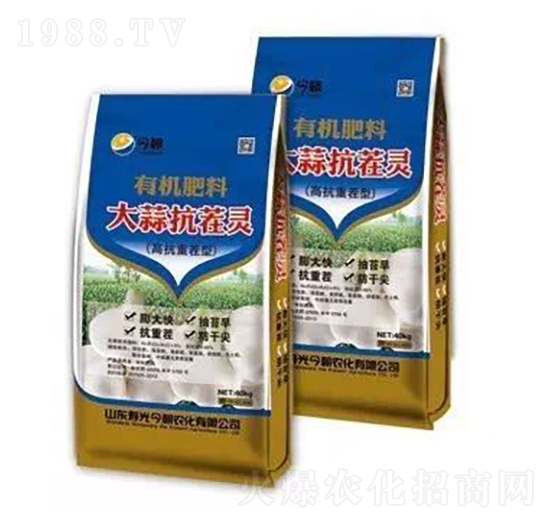 大蒜抗茬靈-今朝農化