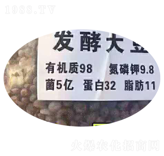 發(fā)酵大豆-保樂福