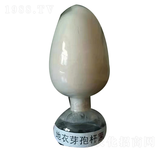 地衣芽孢桿菌-保樂福
