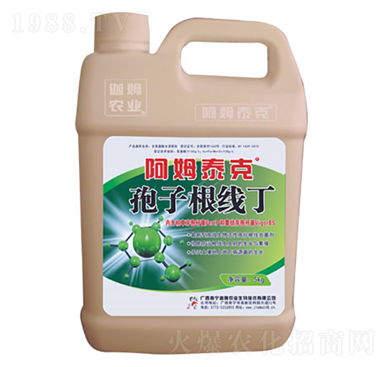 孢子根線丁-阿姆泰克-迦姆農業(yè)