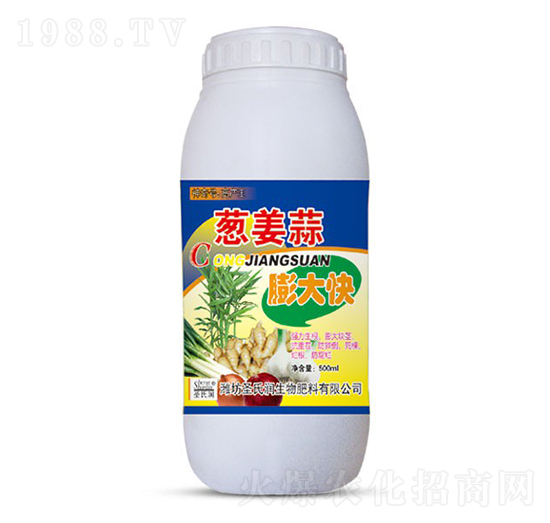 蔥姜蒜膨大快-圣氏潤