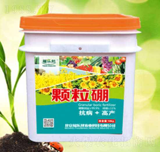 顆粒硼-福樂邦