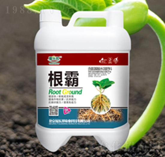 根霸-福樂邦
