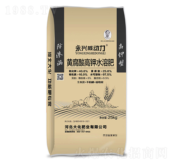 黃腐酸高鉀水溶肥料-永興核動(dòng)力-大化肥業(yè)