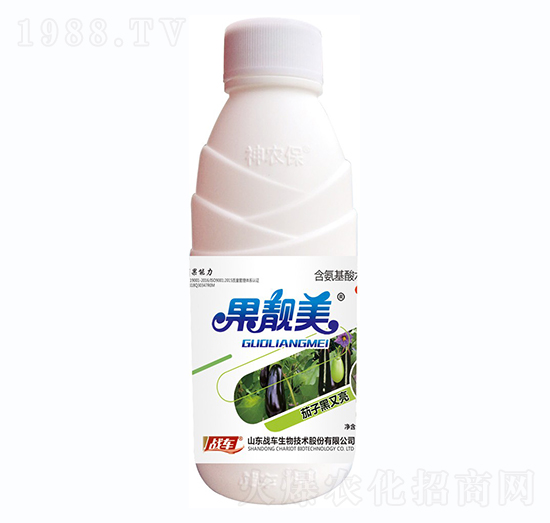 茄子黑又亮-果靚美-戰(zhàn)車