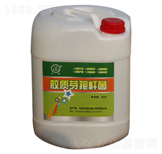 膠質(zhì)芽孢桿菌液-研推生物