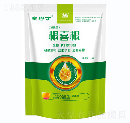 根喜根-金谷丁