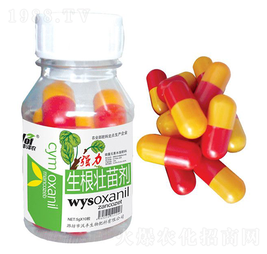 強力生根壯苗劑-沃豐澤農(nóng)-沃豐生物