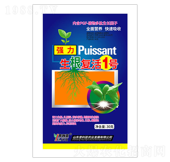 生根復活1號-意利亞