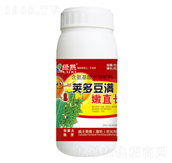 莢多豆?jié)M嫩直長-綠熙-威士萊德