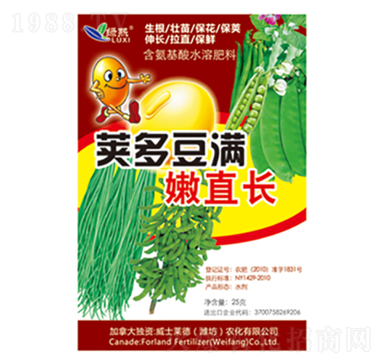 莢多豆?jié)M嫩直長（袋裝）-綠熙-威士萊德