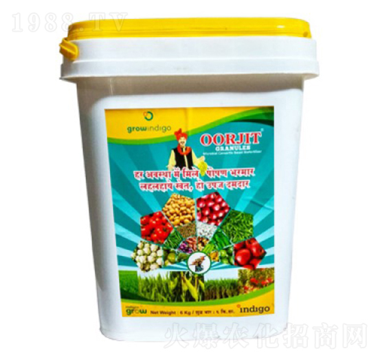 Oorjit Granules-沃格瑞