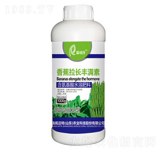 含氨基酸水溶肥料-香蕉拉長豐滿素-瑞閣邁特