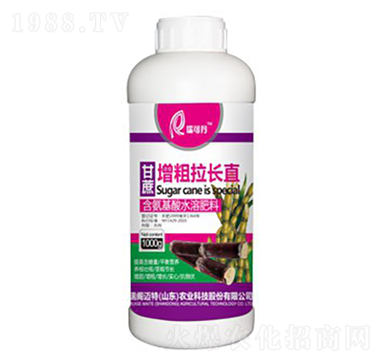 甘蔗增粗拉長直-瑞可丹-瑞閣邁特