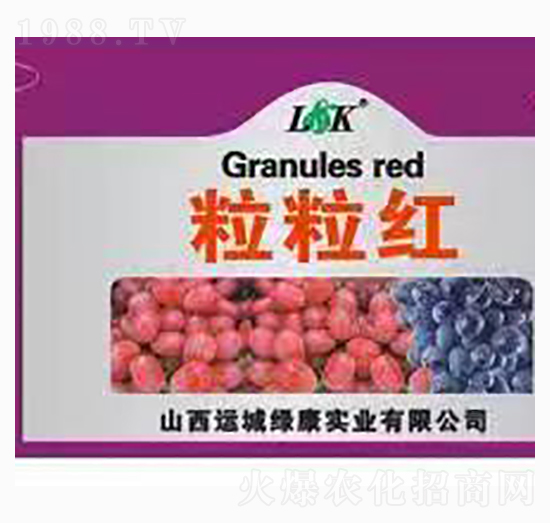 粒粒紅-綠迪