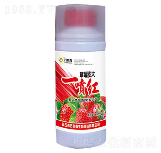 草莓膨大一噴紅-萬(wàn)物春