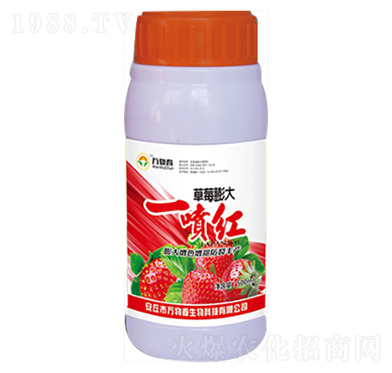 500ml草莓膨大一噴紅-萬物春
