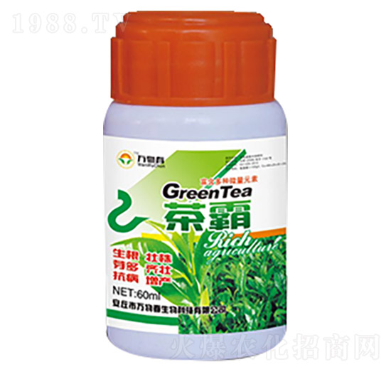 茶霸-萬物春