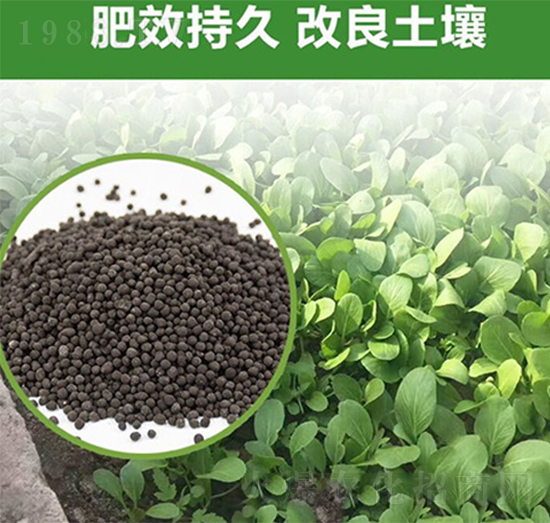 果樹(shù)有機(jī)肥-富瑞豐