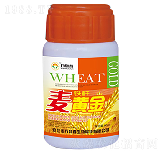 60ml鐵桿麥黃金-萬(wàn)物春