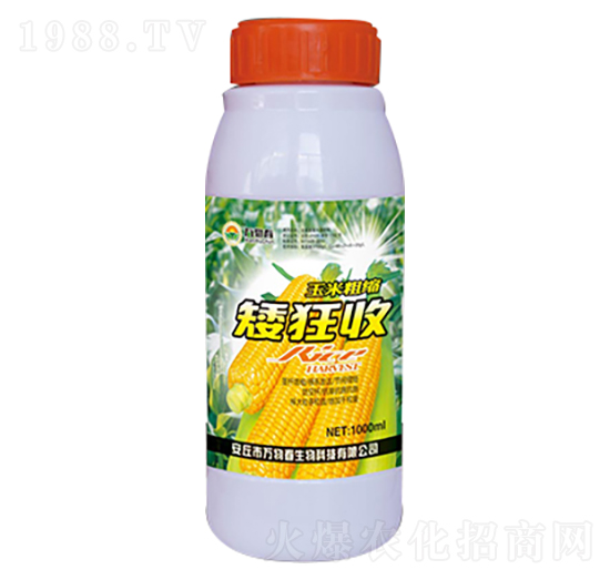 1000ml玉米粗縮矮狂收-萬(wàn)物春