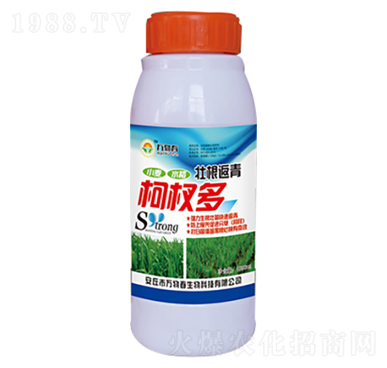 1000ml壯根返青柯杈多-萬物春