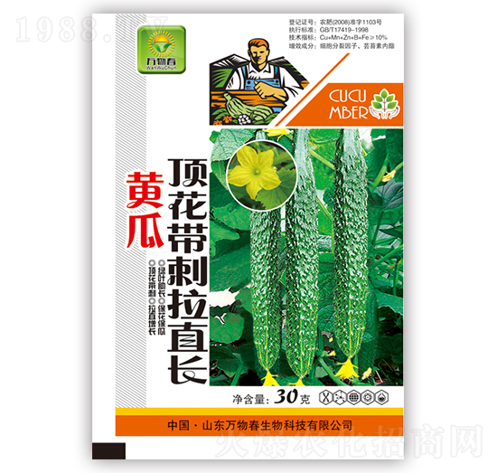 黃瓜頂花帶刺拉直長(zhǎng)-萬物春