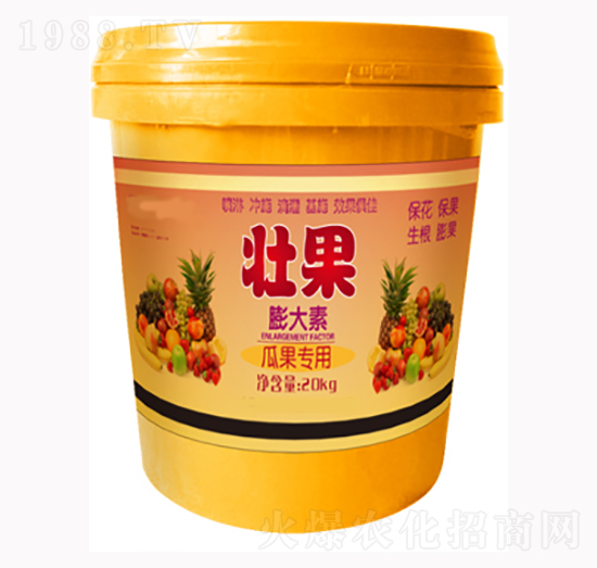 瓜果專(zhuān)用壯果膨大素-晨晟生物