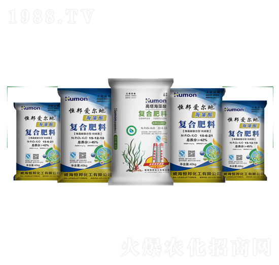 海藻酸復合肥-恒邦化工