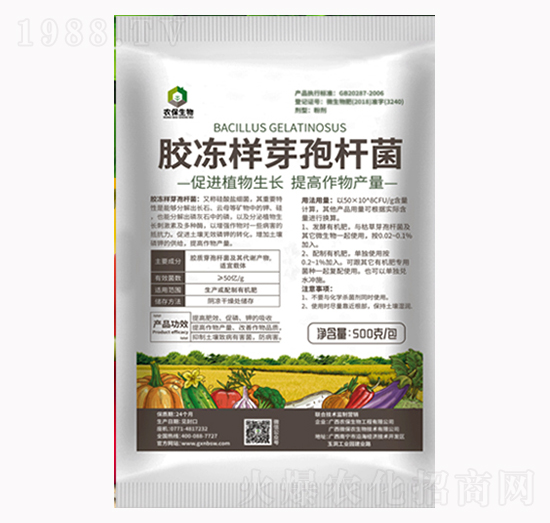 膠凍樣芽孢桿菌-農保生物