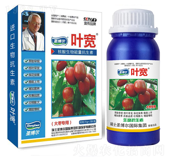 大棗專(zhuān)用葉面肥-多糖生物酶誘抗肽-葉寬-圣博爾生物