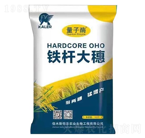 鐵桿大穗-愷樂(lè)農(nóng)業(yè)