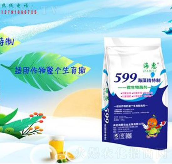 599海藻精特制-?；? style=