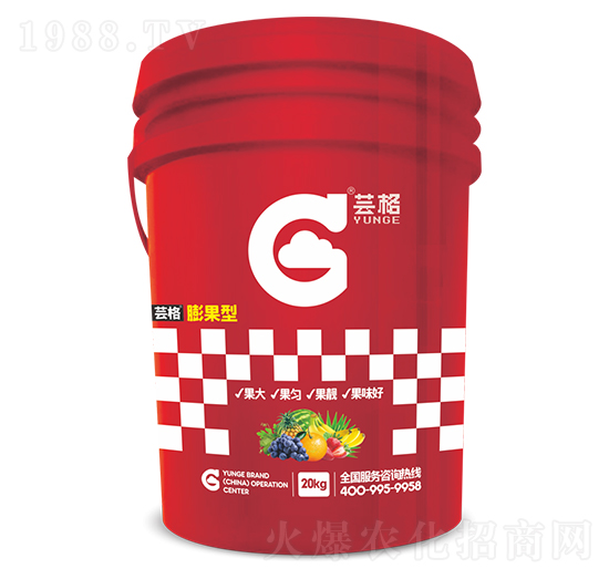 膨果型-蕓格