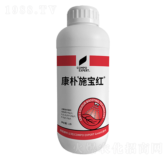 施寶紅-康樸