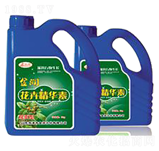 觀葉型花卉精華素-江潤生物