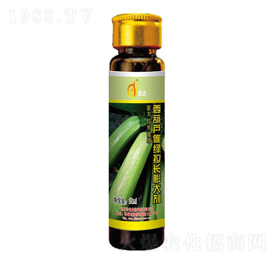 西葫蘆催綠拉長膨大劑-浩達(dá)生物