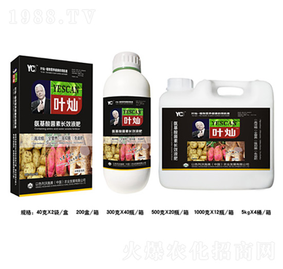 塊根莖氨基酸菌素長效液肥-葉燦-德化