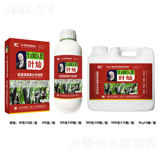 茄子氨基酸菌素長效液肥-葉燦-德化