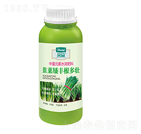 韭菜矮豐根多壯-朵益農業(yè)