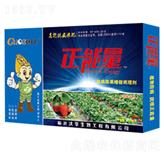 草莓專用抗病膨果增甜調理劑-正能量