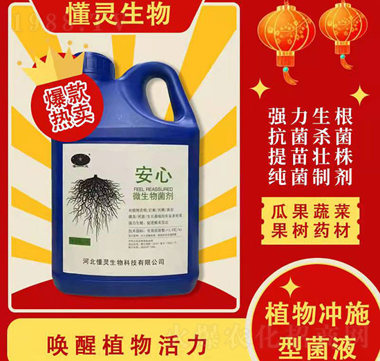 微生物菌劑-安心-懂靈生物