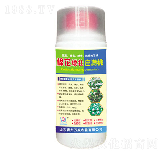 棉花矮壯座滿桃-萬泉農(nóng)化