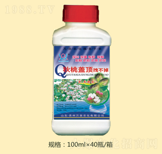 秋桃蓋頂拽不掉-萬泉農(nóng)化