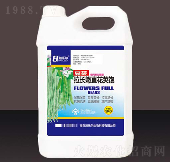 豆類拉長(zhǎng)嫩直花莢飽-瀚樂(lè)爾