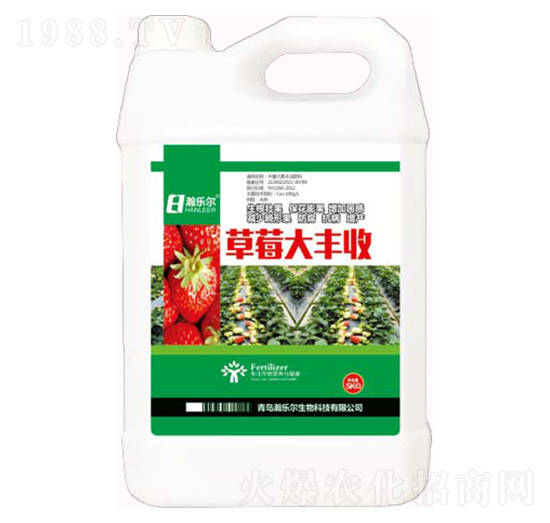 草莓大豐收-瀚樂(lè)爾