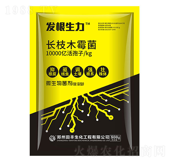 長(zhǎng)枝木霉菌-發(fā)根生力-聚無(wú)霸