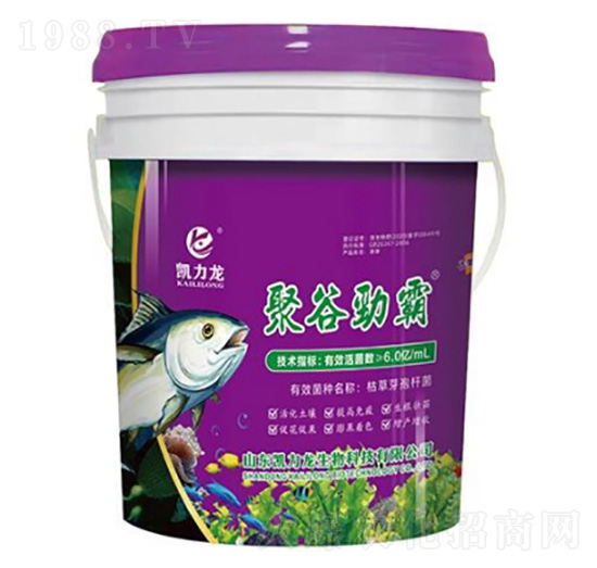 ݲѿU+۹Ȱ+~(y)-۹ȄŰ-P