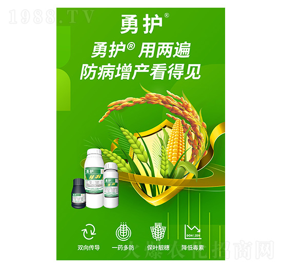 勇護-西大華特